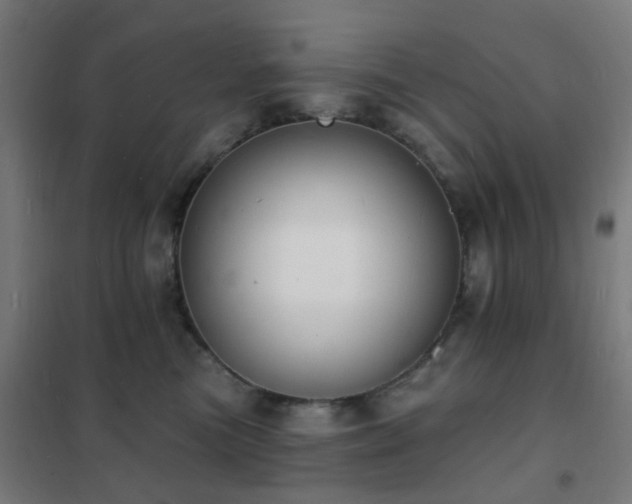 X0000102230473200807251239
