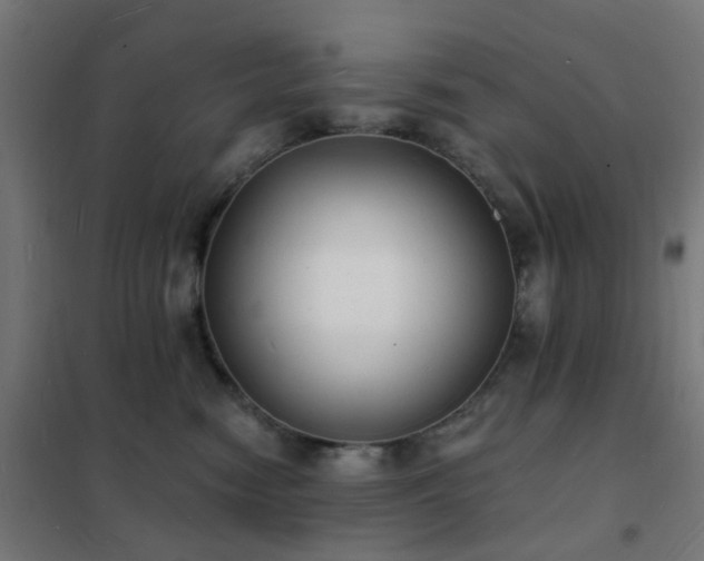 X0000102230474200807251239