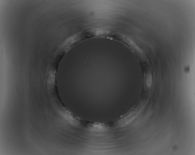 X0000102230475200807251239