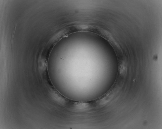 X0000102230476200807251239