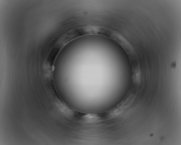 X0000102230477200807251239