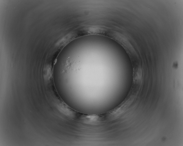 X0000102230478200807251239