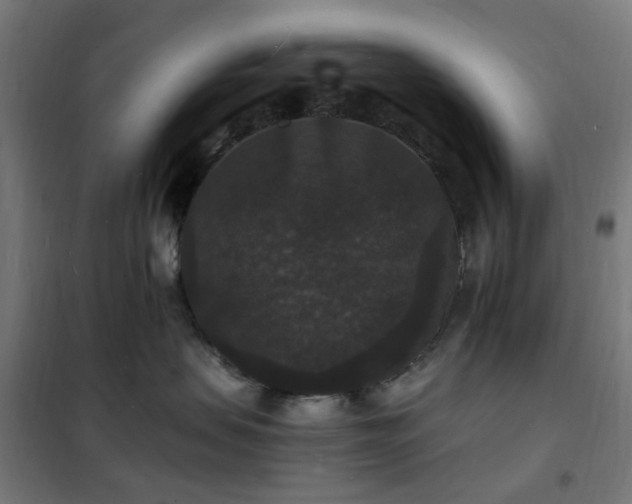 X0000102230479200807251239