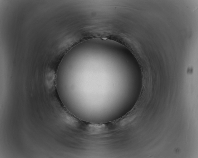 X0000102230480200807251239