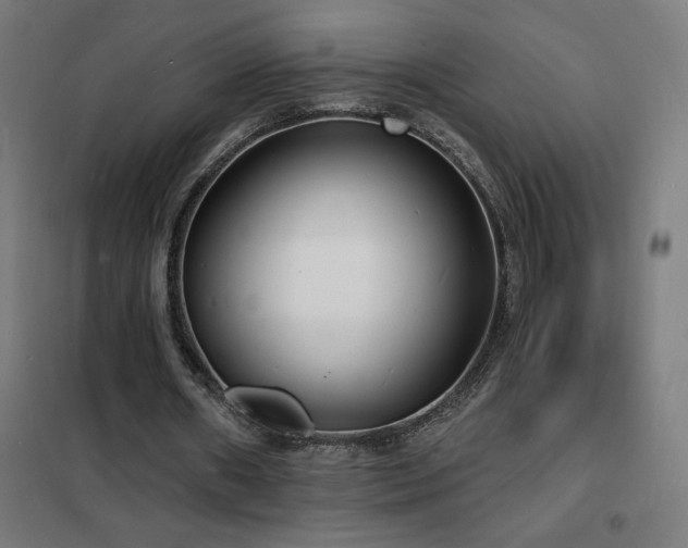 X0000102230482200807251238