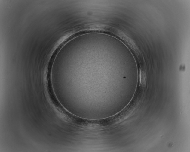 X0000102230483200807251238