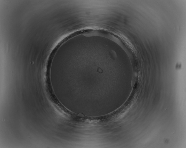 X0000102230484200807251238