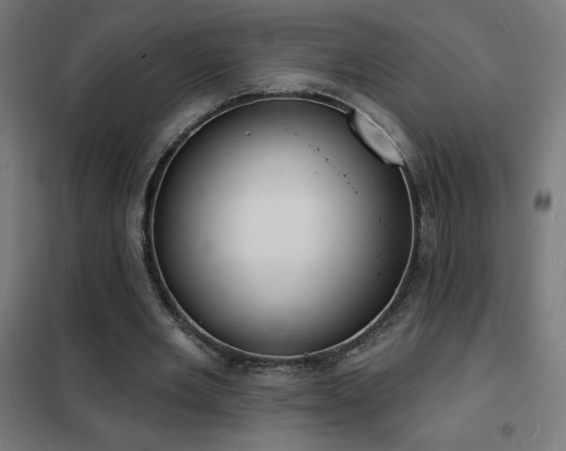 X0000102230485200807251238