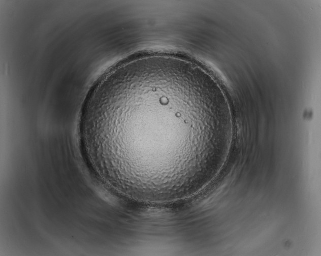 X0000102230487200807251238