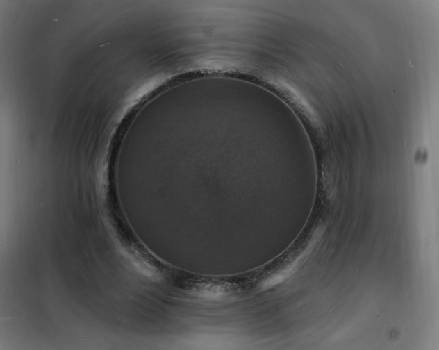 X0000102230488200807251238
