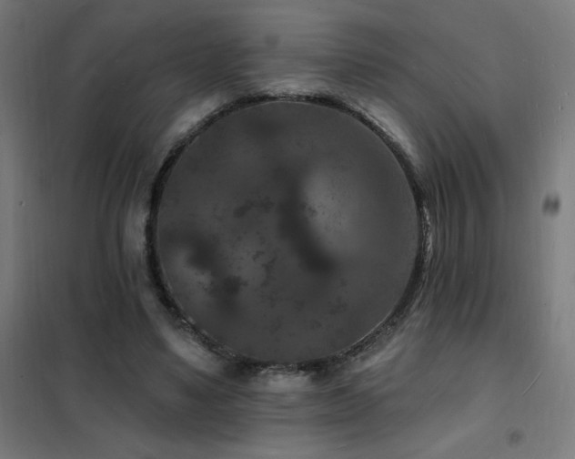 X0000102230491200807251238