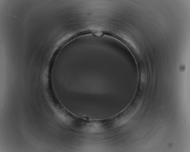 X0000102230492200807251238