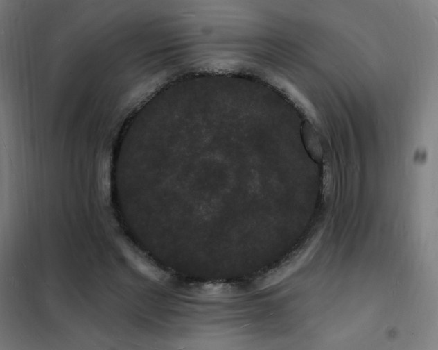 X0000102230493200807251238