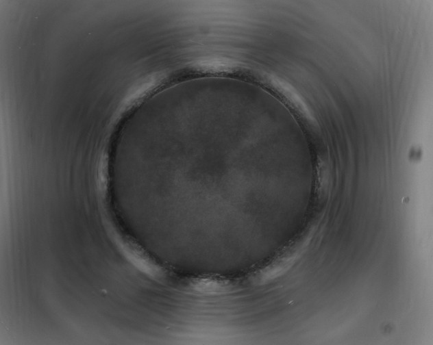 X0000102230494200807251238