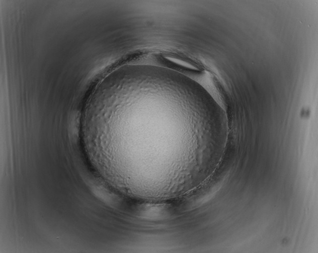X0000102230495200807251238
