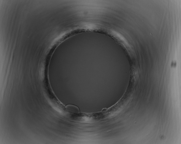X0000102230496200807251238