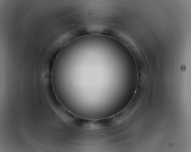 X0000102230498200807251238
