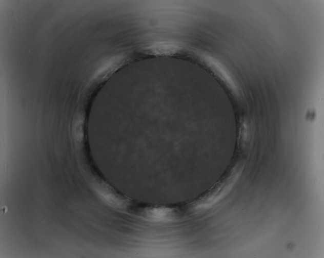 X0000102230501200807251238