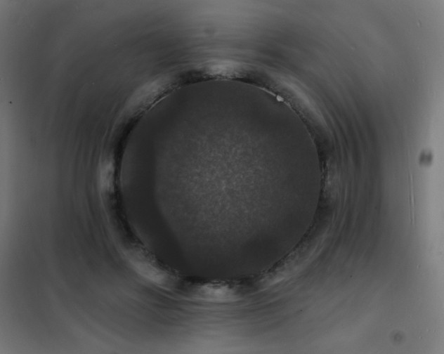 X0000102230502200807251238