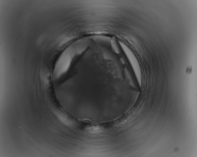 X0000102230503200807251238