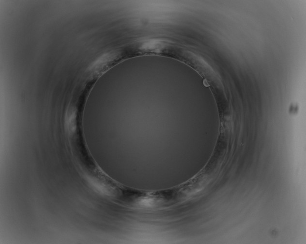 X0000102230504200807251238