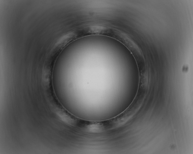 X0000102230505200807251238