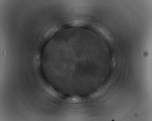 X0000102230506200807251238