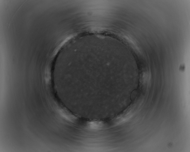 X0000102230508200807251238