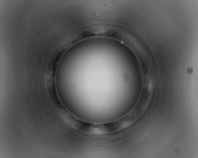 X0000102230510200807251238
