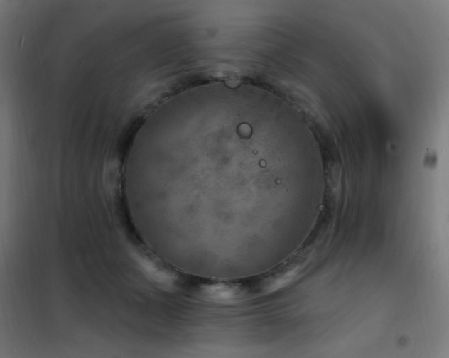 X0000102230511200807251238