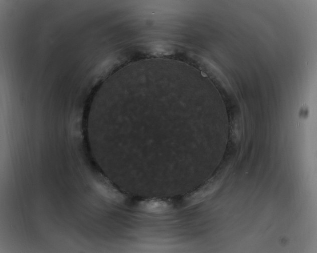 X0000102230512200807251238