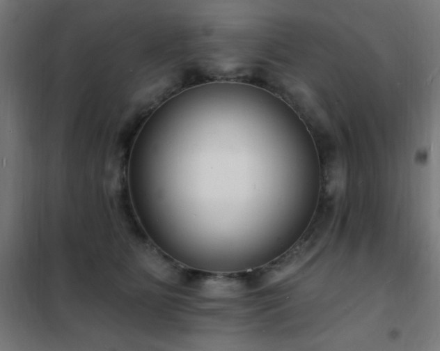 X0000102230515200807251238