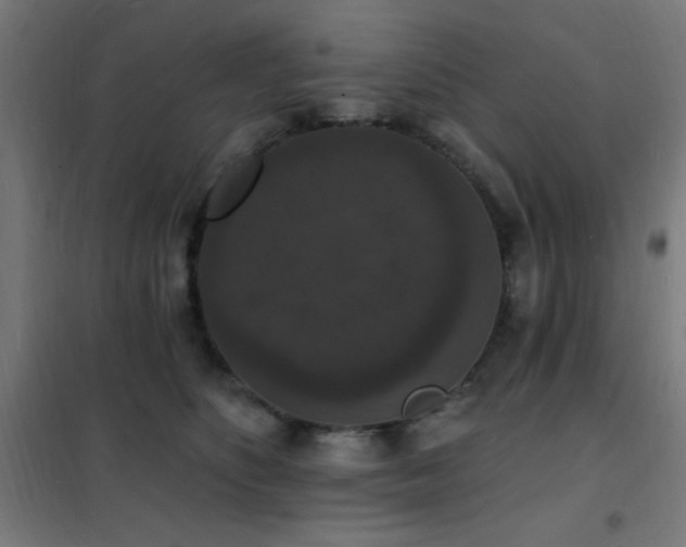 X0000102230516200807251238