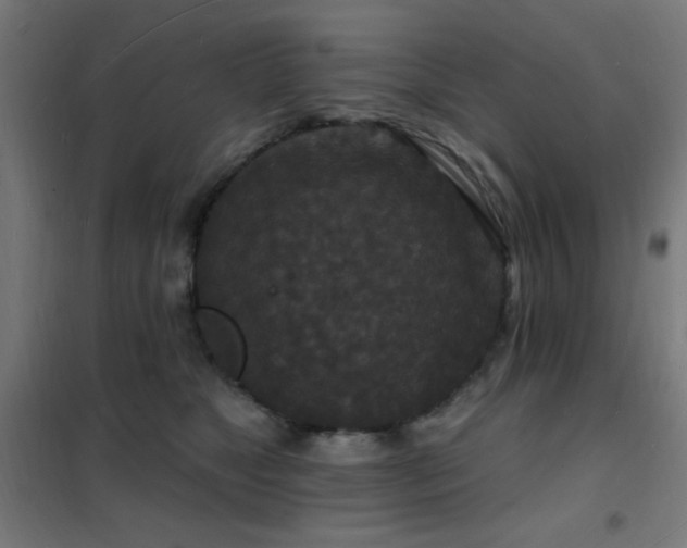 X0000102230517200807251238