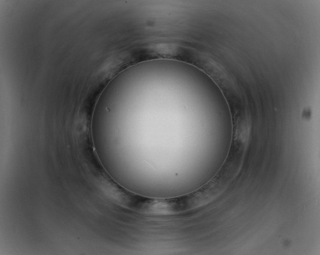 X0000102230518200807251238