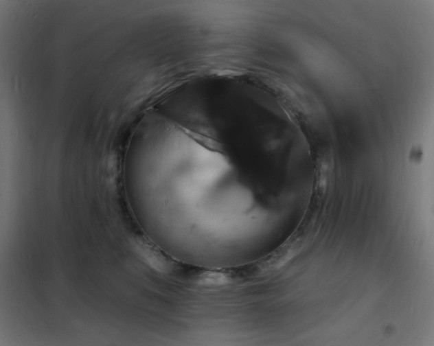 X0000102230519200807251238