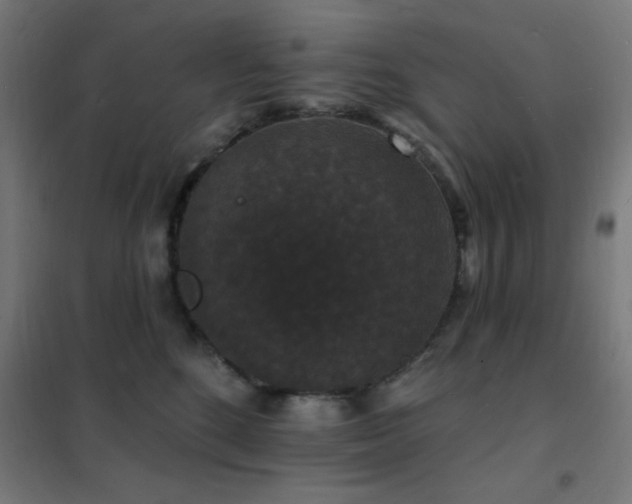 X0000102230520200807251238