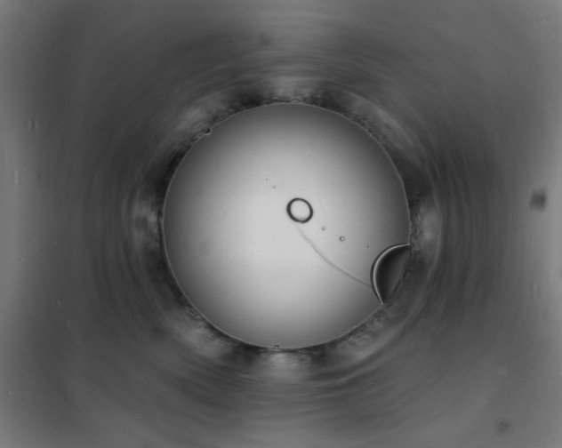 X0000102230522200807251238