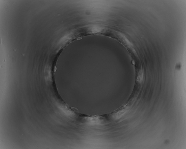 X0000102230524200807251237
