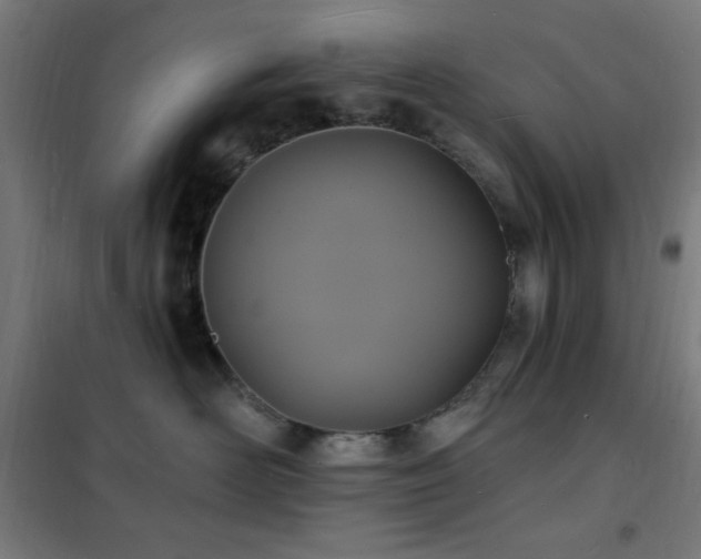 X0000102230526200807251237