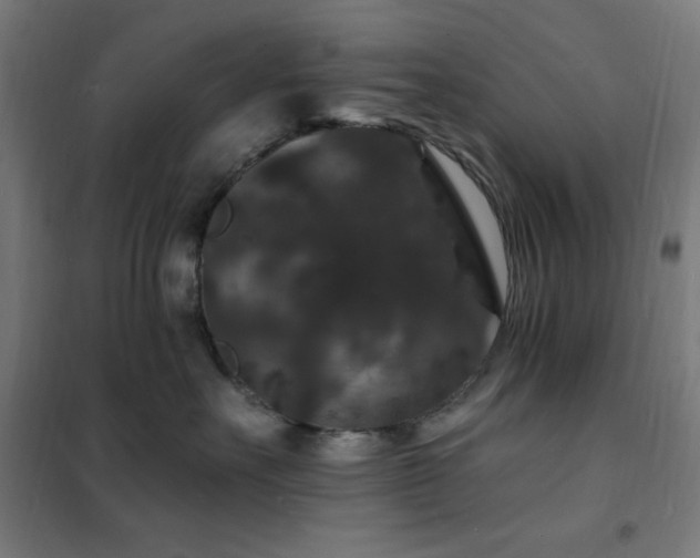 X0000102230527200807251237