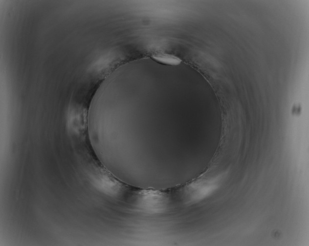 X0000102230528200807251237