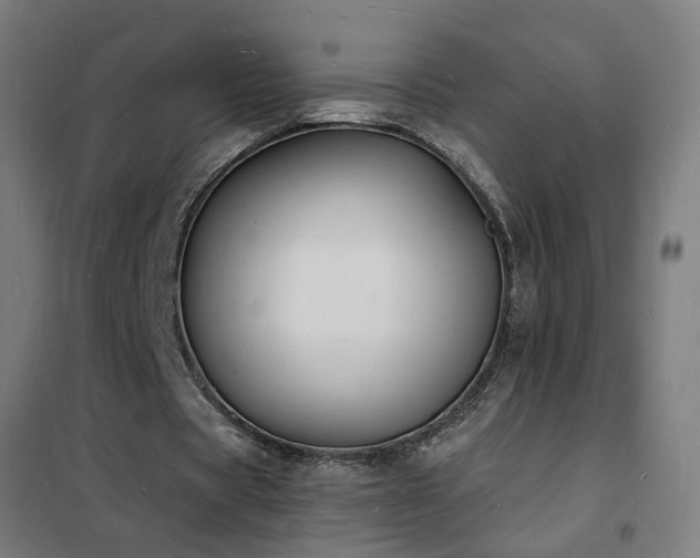 X0000102230529200807251237