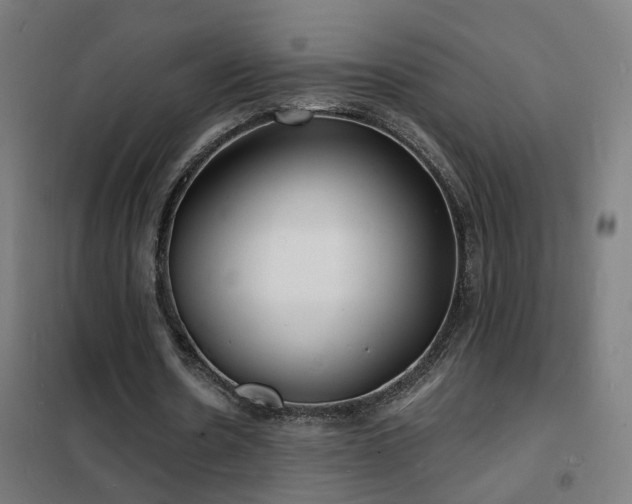 X0000102230530200807251237