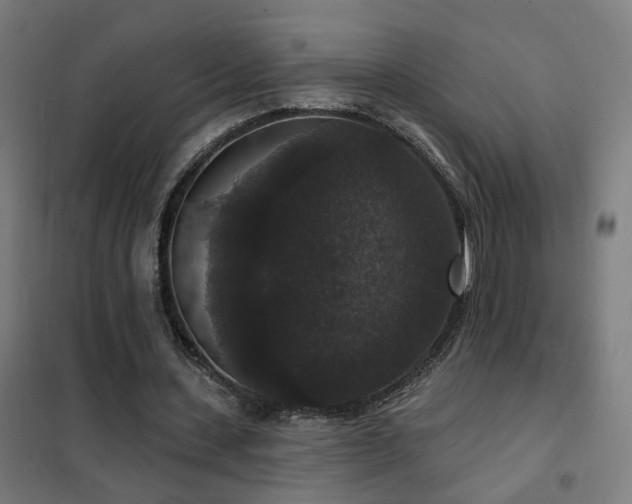 X0000102230531200807251237