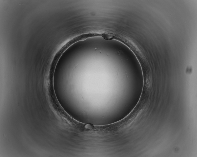 X0000102230532200807251237