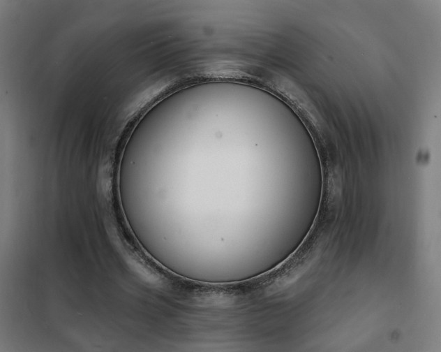 X0000102230533200807251237