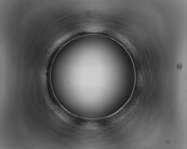 X0000102230535200807251237