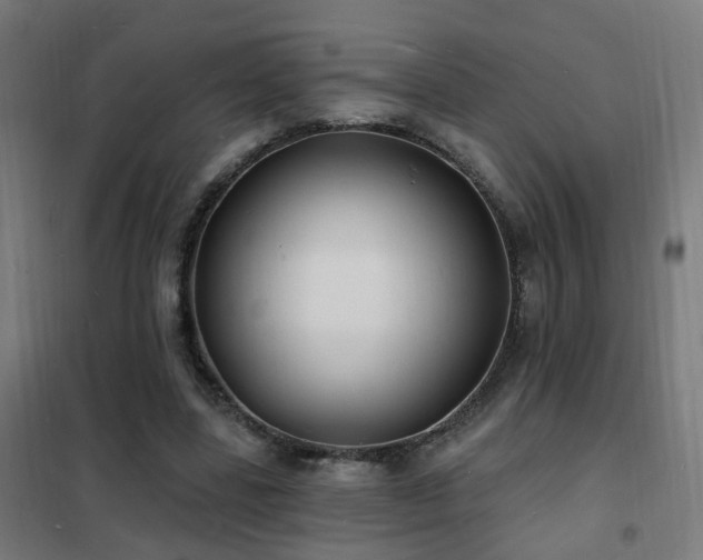X0000102230539200807251237