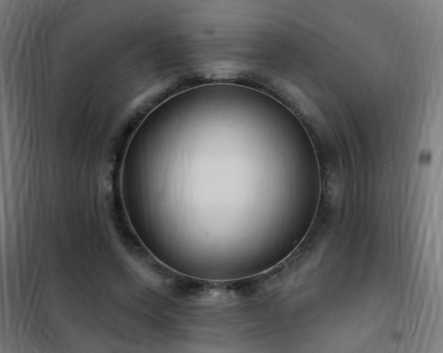 X0000102230543200807251237